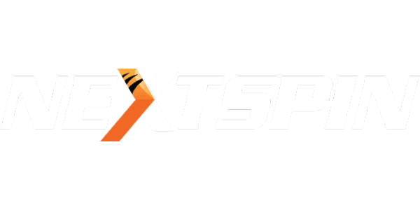 NS-কালার logo